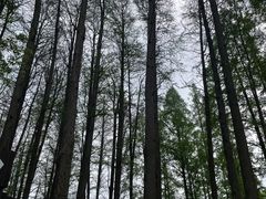 -东湖生态旅游风景区