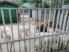 -洪湖家庭农场·团建·露营·会议