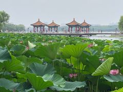 -长春市南湖公园