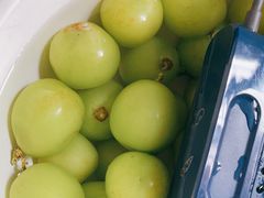 -上海龙吴水胜海发市场