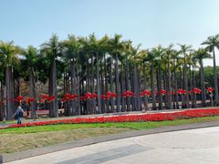 -深圳国际园林花卉博览园