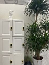 -Moyue HAIR SALON