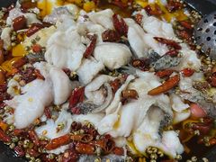 -金三可市井水煮鱼(金碧园店)