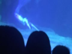 -石家庄海洋公园
