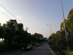-铁山坪森林公园