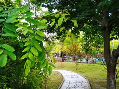 -西安汉城湖景区