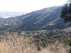 -香山公园