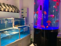 水产区-金汤宴餐厅·粤菜(德云社店)