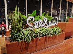 -Seesaw Coffee(朝阳大悦城店)