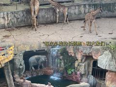 -长鹿旅游休博园