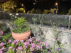 -魏公馆(昆太路店)