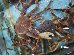 -渔民新村(番禺总店)