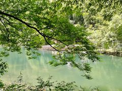 -祁门牯牛降观音堂风景区