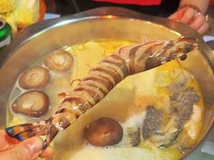-鲜入围煮花胶鸡海鲜火锅
