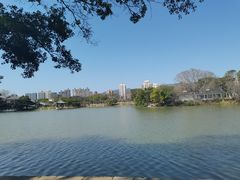 -江心屿景区
