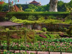 -广州莲花山旅游区