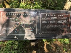 -五营红松林海景区