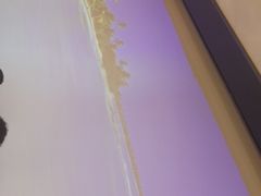 -洪氏嗨捞·猪肚鸡火锅(阳光天地店)