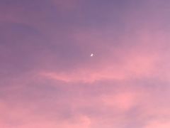 -番禺广场(市桥街道)