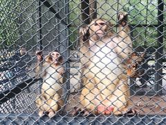 -长白岛森林公园