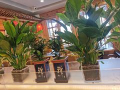 -大清花饺子(山庄店)