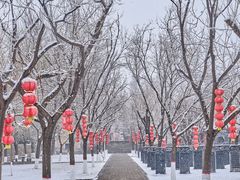 -大槐树寻根祭祖园