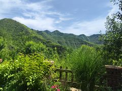 -幽岚山·童话森林