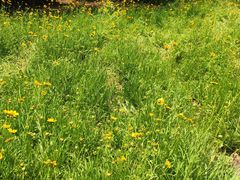 -盘龙城国家考古遗址公园