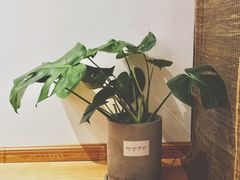 -面包与我Bread Or Me(长城汇店)