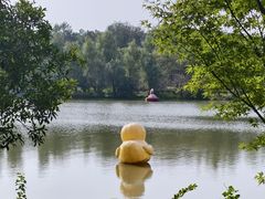 -昆山城市生态森林公园