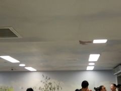 -自然博物馆新馆2楼餐厅