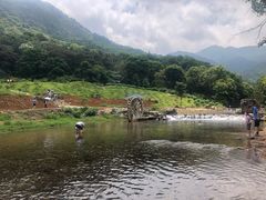 -广州市石门国家森林公园