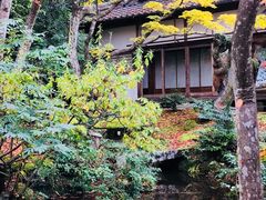 -常寂光寺