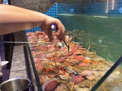 -曼格活海鲜·牛排自助(光明蓝鲸店)