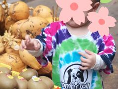 -三亚新鸿港水果一级批发市场