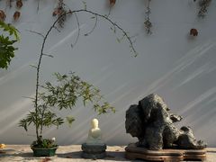 -龙华素斋(龙华路店)