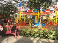 -南宫五洲植物乐园