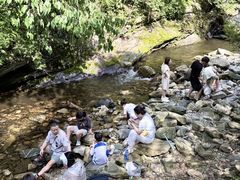 -少华山国家森林公园