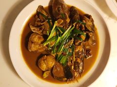 -日丰园海肠水饺·老字号大连海鲜(和平广场店)