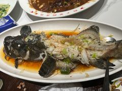 -单家老院·院子里的青岛菜(沙子口店)