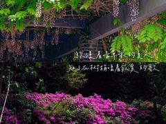 -龙寺生态园