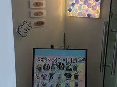 -汪说·狗咖·拼豆·宠物周边DIY(旺城大厦店)