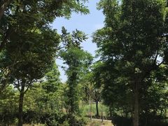 -同里国家湿地公园