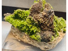 -湖南省地质博物馆