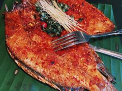 -云海肴·汽锅鸡·云南菜(天山百盛优客店)