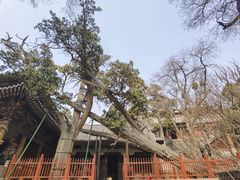 -晋祠公园