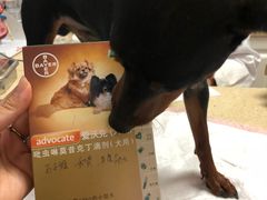 -安安宠医·安宠宠物医院