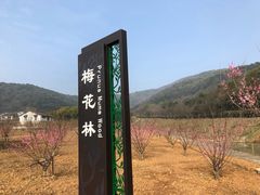 -龙寺生态园