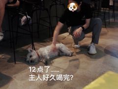 -MEDISN·药厂