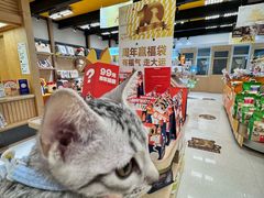 -帕帕拉兹宠物(亚洲旗舰店)